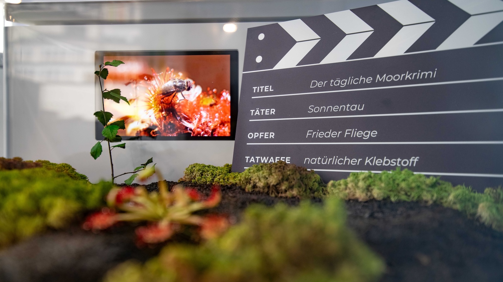 Über 13.000 Besucher im ersten Jahr der Moorerlebniswelt in Bad Driburg